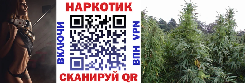 Магазин наркотиков Краснодар Alpha PVP  АМФ  Меф мяу мяу  Псилоцибиновые грибы  Кокаин  Конопля  Гашиш 