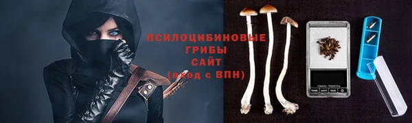 винт Осташков