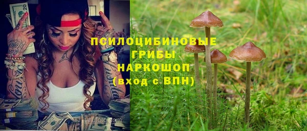 винт Осташков