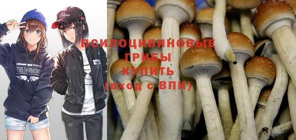винт Осташков