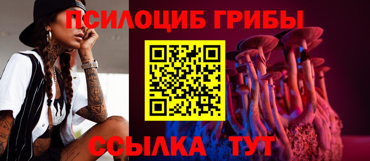 Краснодар  Псилоцибиновые грибы ЛСД  Вход с VPN 
